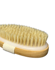 Elevate Your Skincare Routine with Our Exfoliating Body Brush