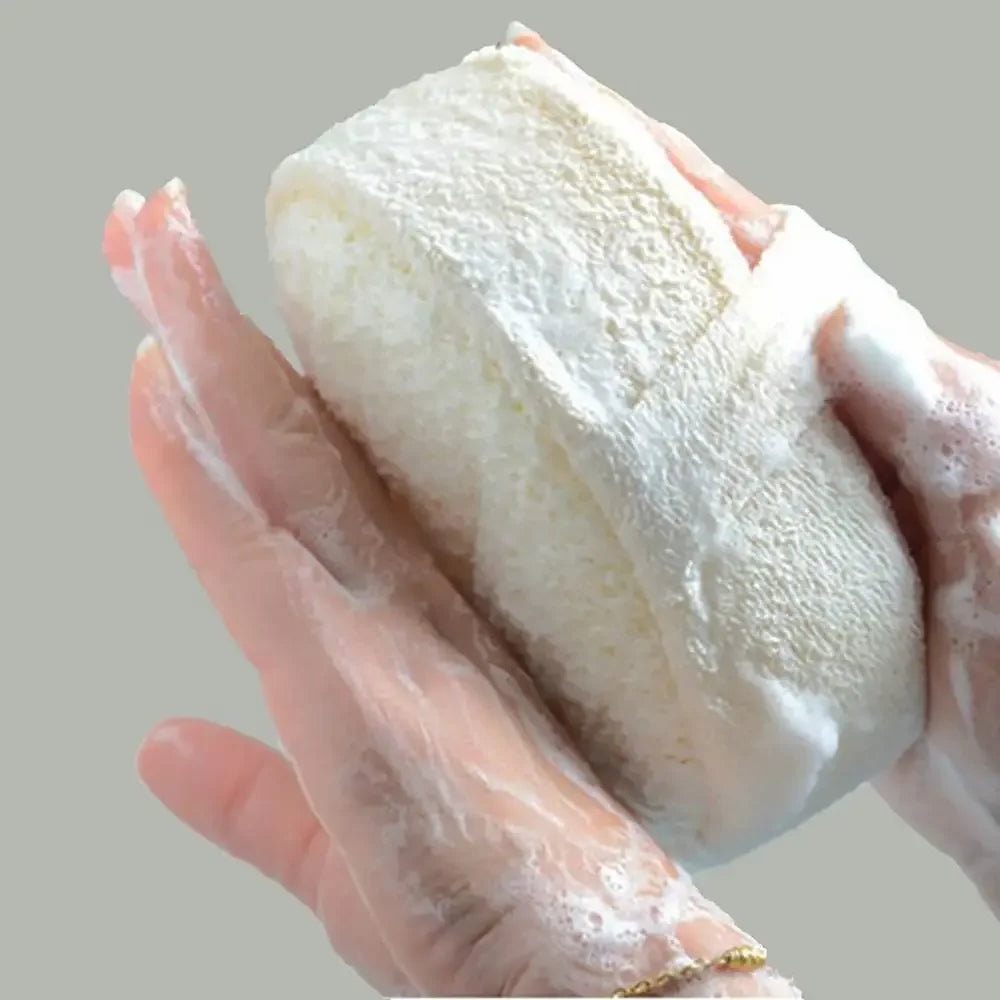 Loofah Exfoliating Sponge